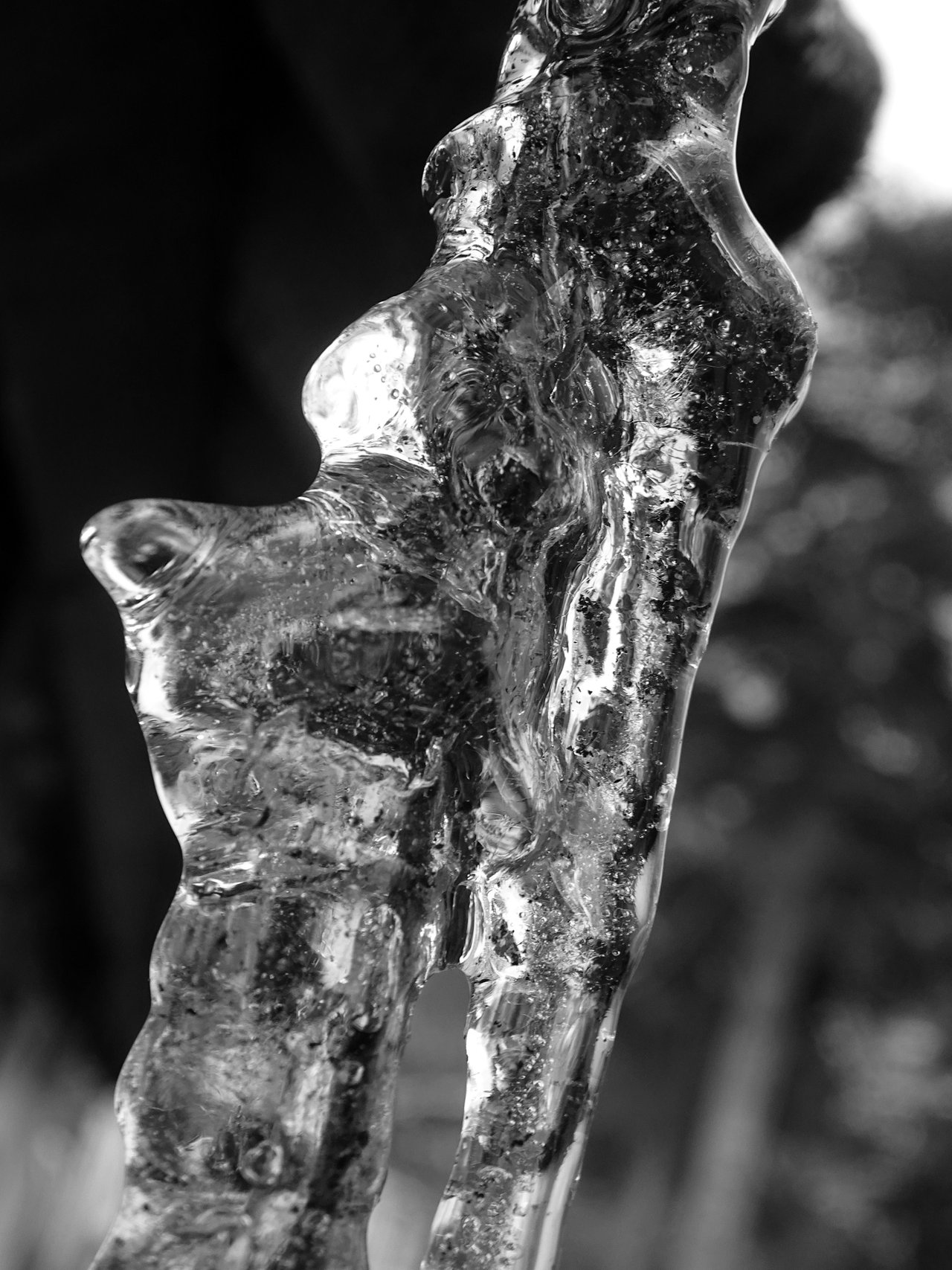 icicle-bw1.JPG