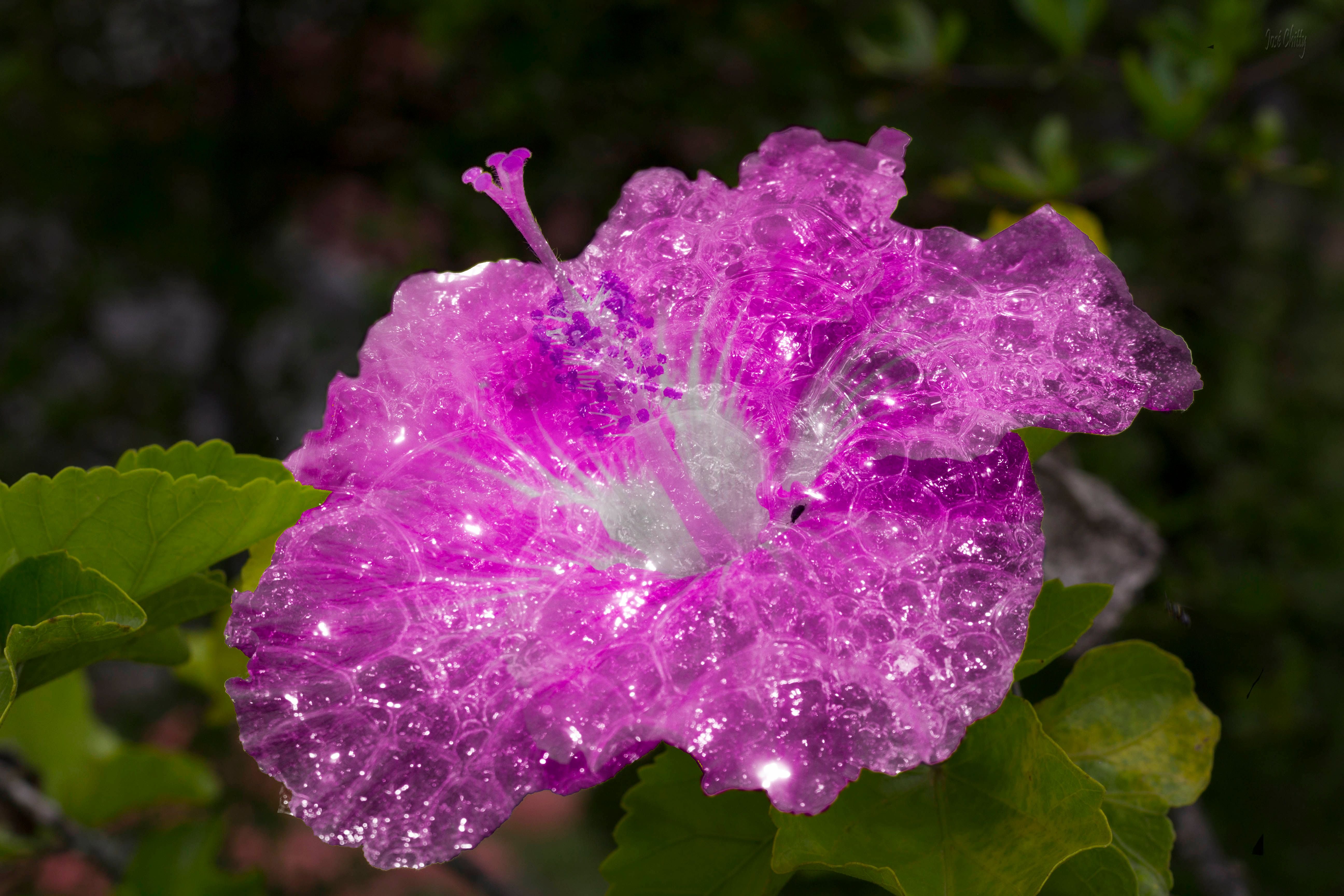 plastic-flower.jpg