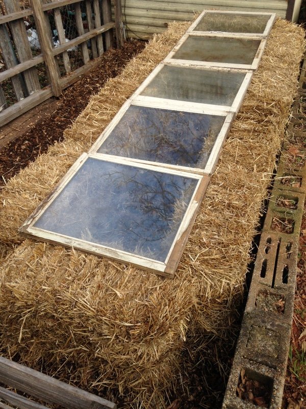 cold frame.jpg