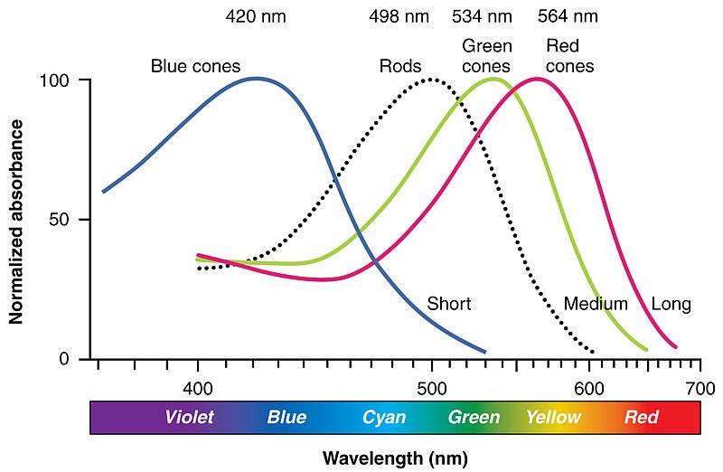 1416_Color_Sensitivity.jpg