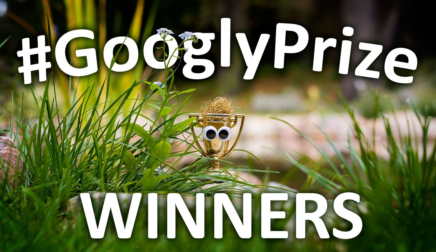 GooglzPriye Winners 12