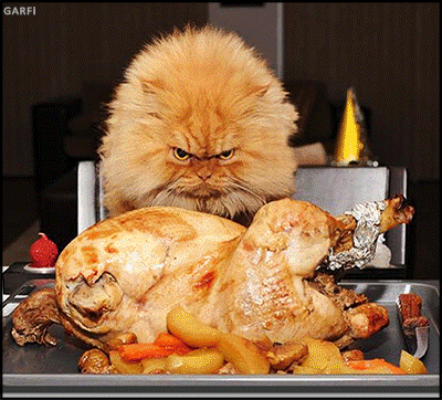 be0917c86ab2d10163426f3fc9f6a92e.gif