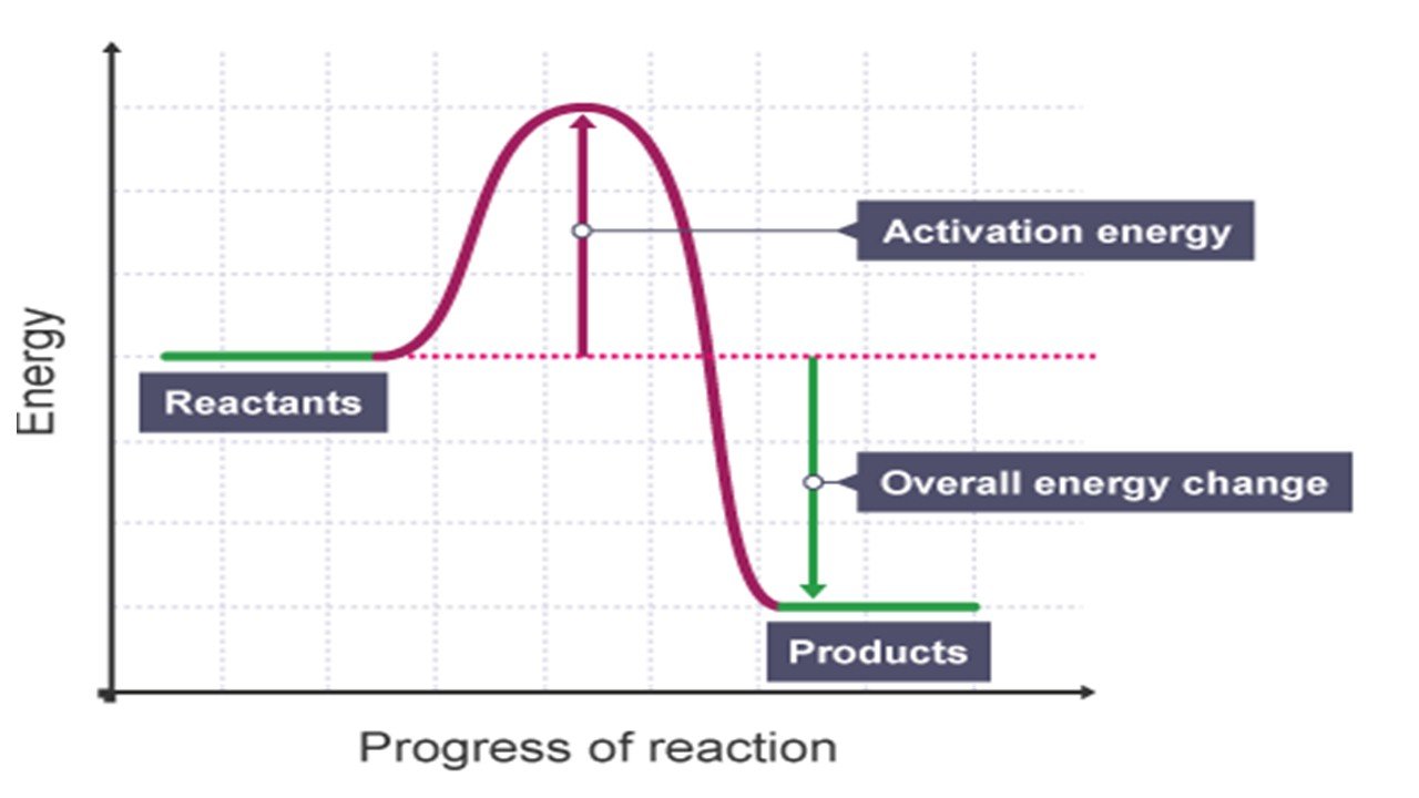 diagram level energy bitesize exothermic  endothermic and reactions  #steemitschool