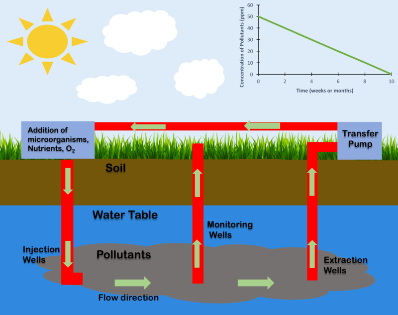 800px-In_Situ_Bioremediation.png