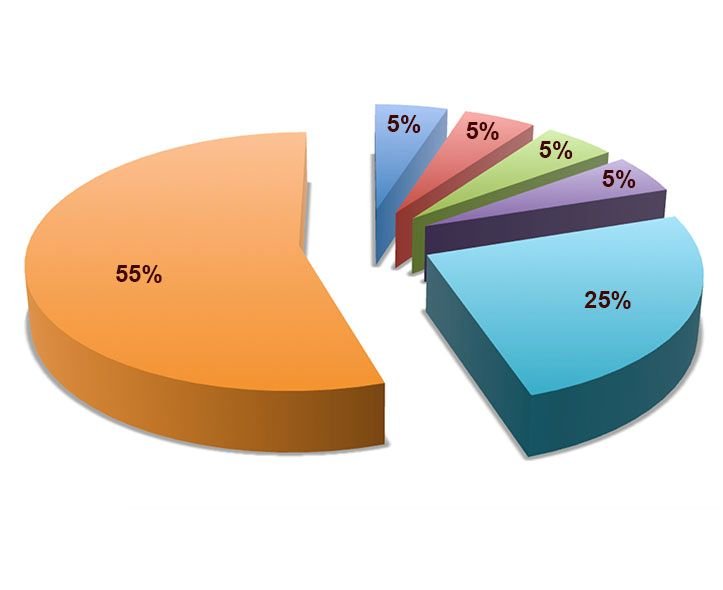 token-distribution.jpg