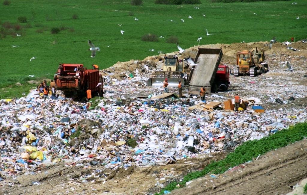 plastic toothbrush landfill.jpg