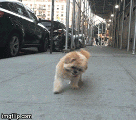 5754cb8c-448b-4ffa-b7a4-26d8e68e17aa.gif