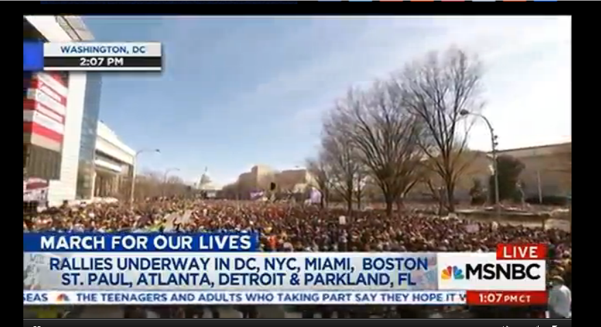 180324,Sat  28--March-For-Our-Lives--crowd-pic.png