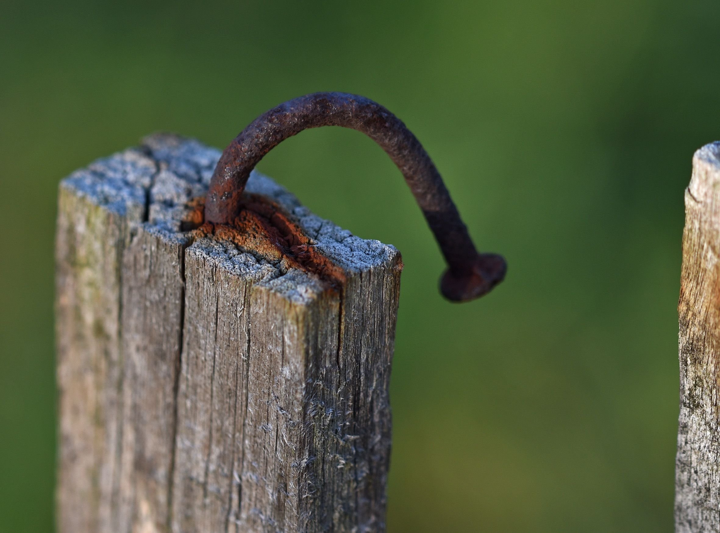 rust nail bend 1.jpg