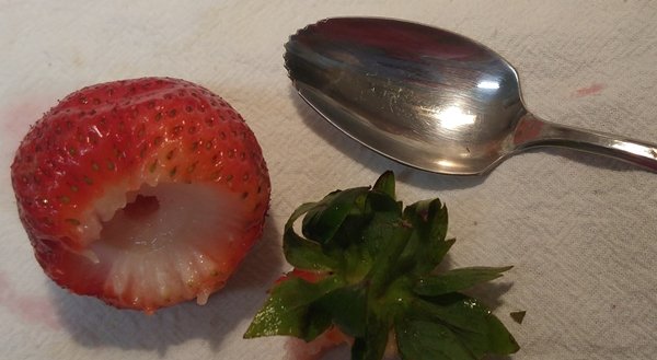 Berry and spoon.jpg