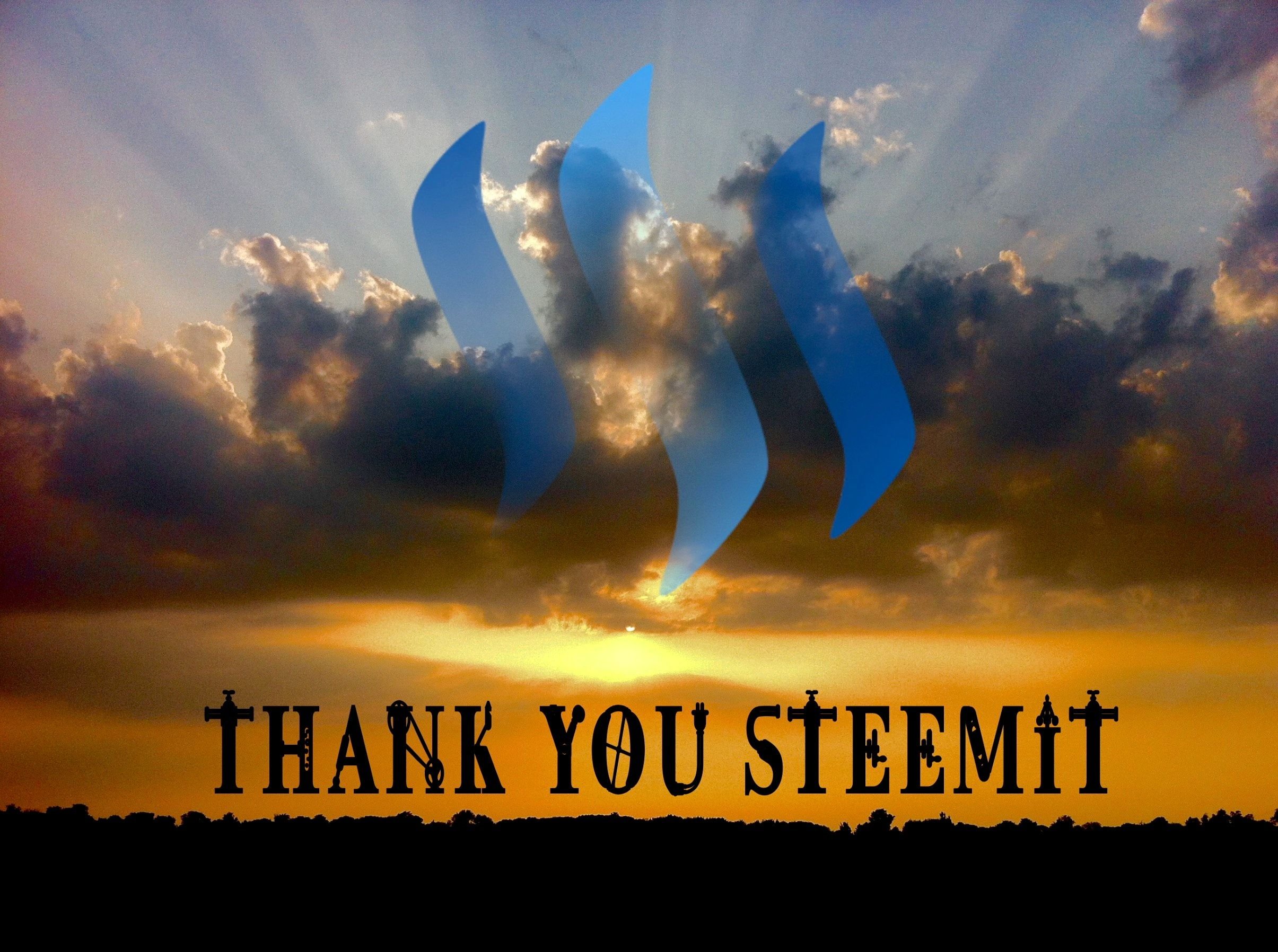 thank you steemit.jpg