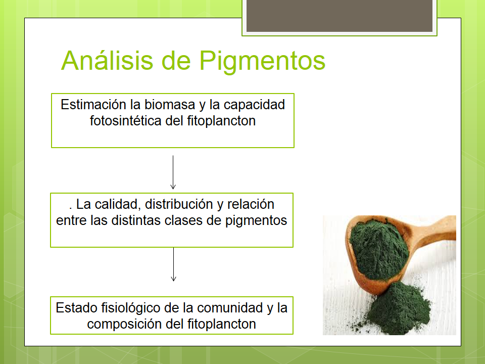 Análisis de Pigmentos fotosintéticos — Steemkr