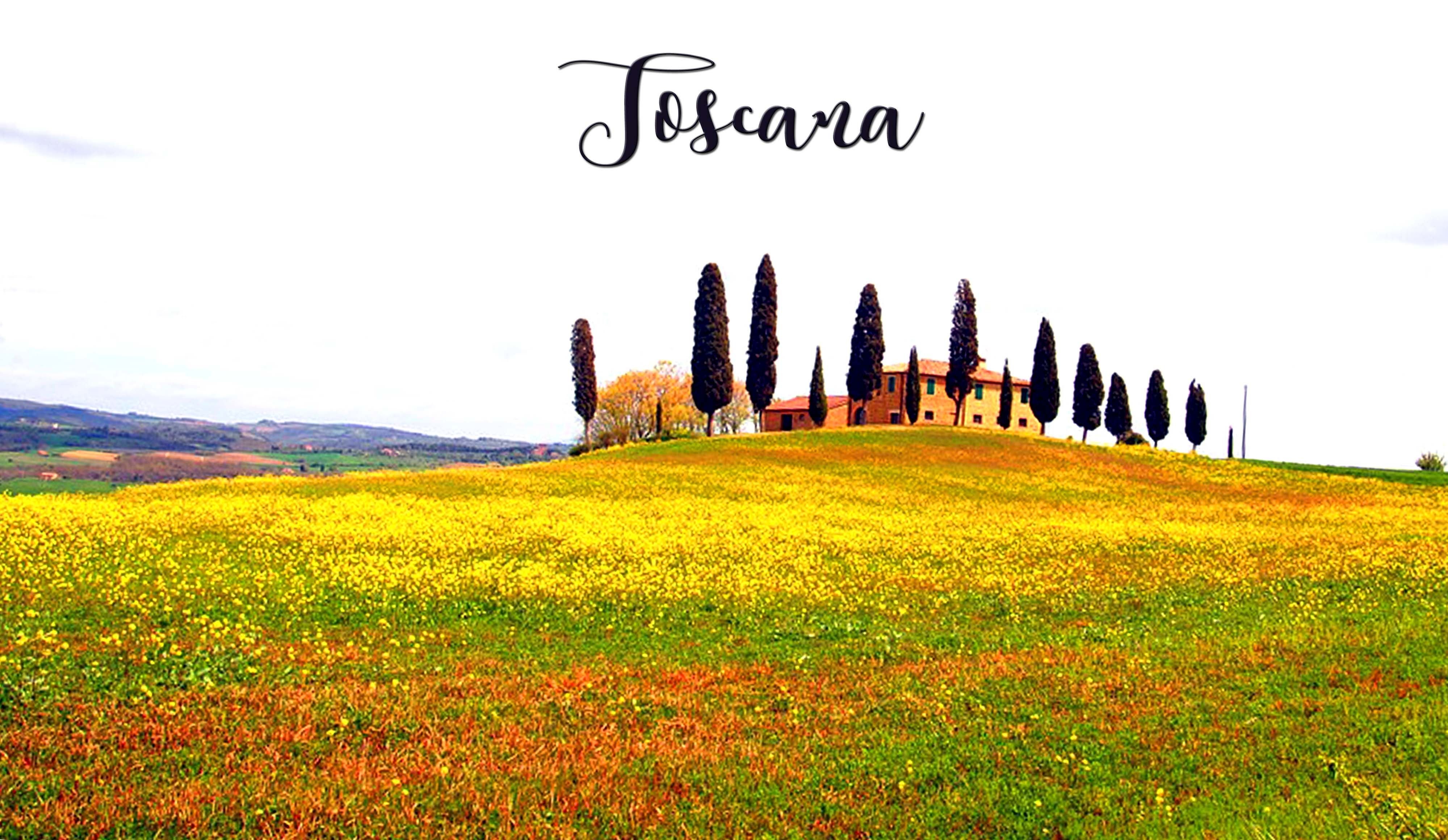 toscana1.jpg