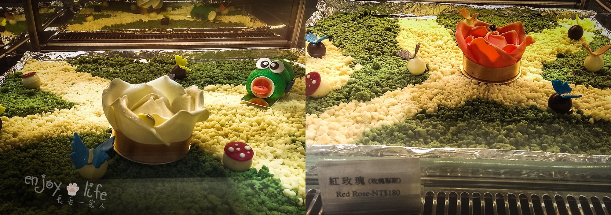 長毛一家人_德爾芙蛋糕櫃.jpg