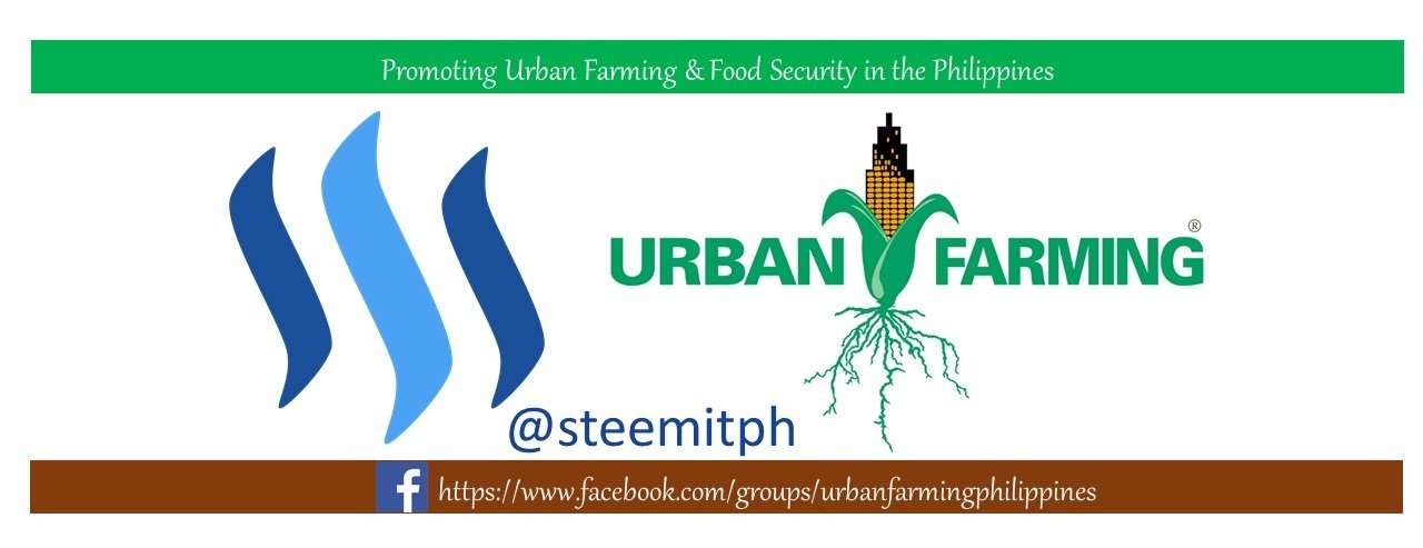 "urbanfarming logo 1.jpg"