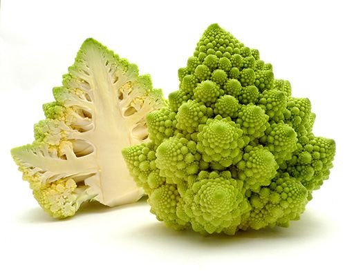 romanesco 1.jpg