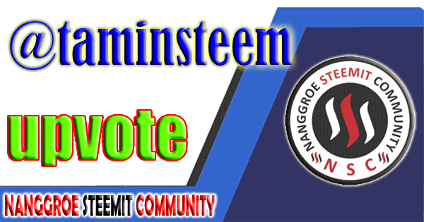 nsc-gif-taminsteem.gif