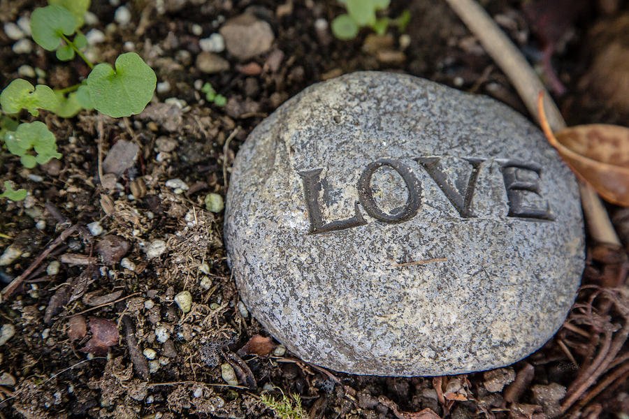 zen-stone-love-eti-reid.jpg