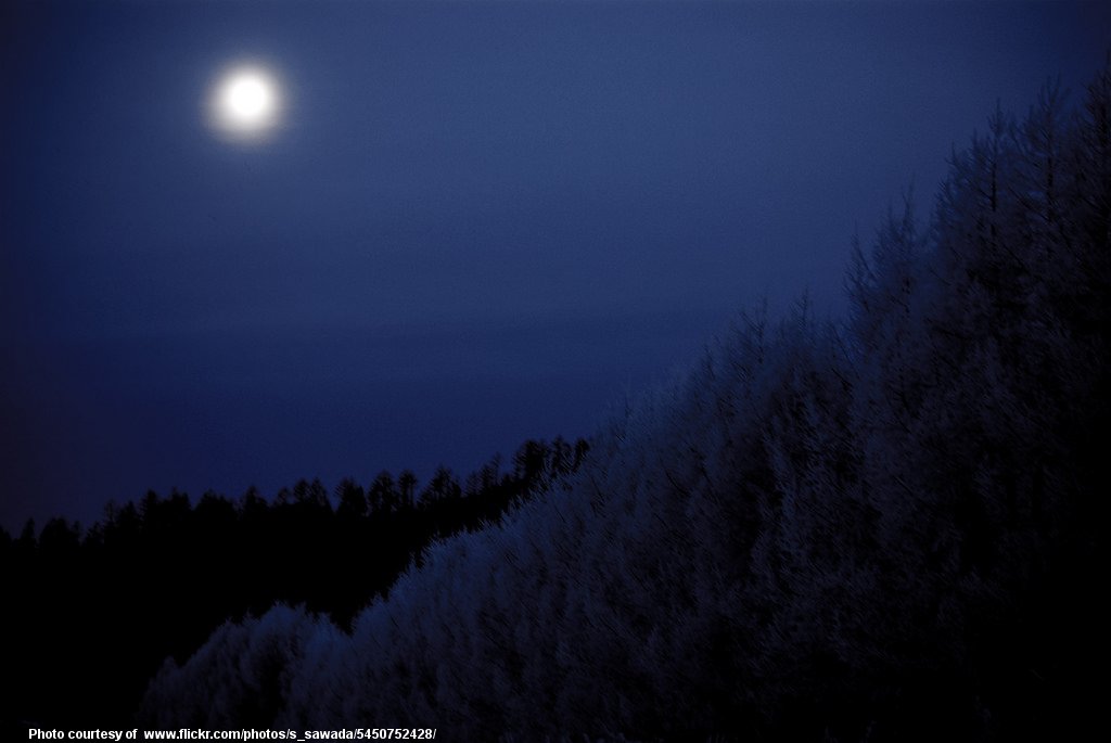 FuzzyFullWinterMoon-001-032418.jpg