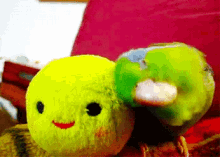 tenor (1).gif