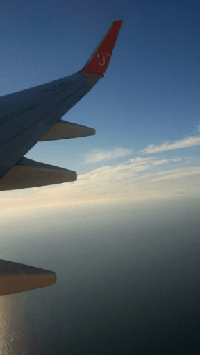 gif_camera_20180222152327.gif