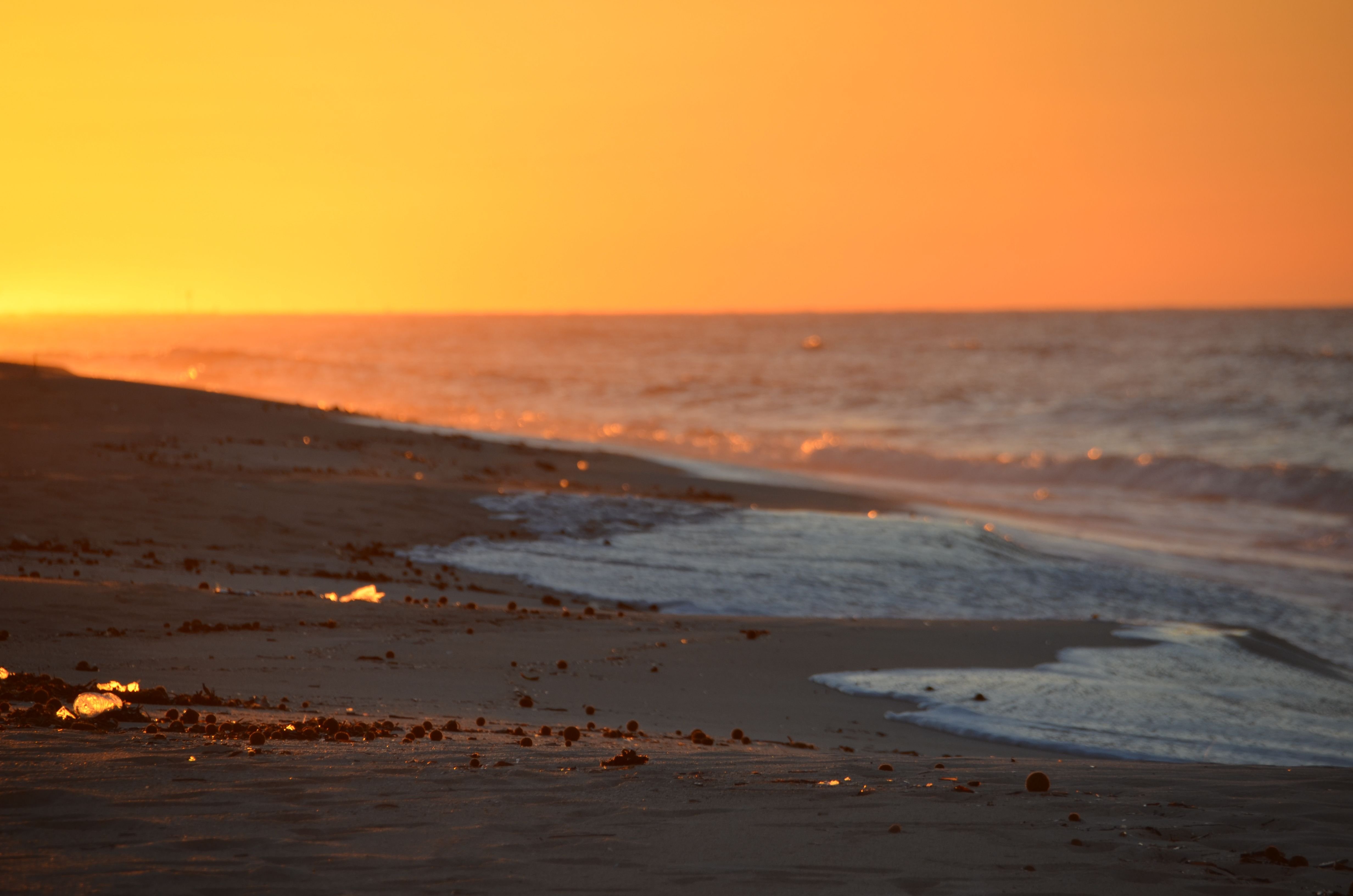 DSC_0058.JPG