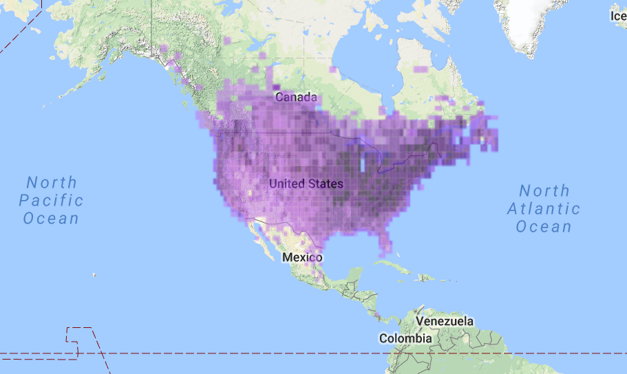 American Goldfinch Species Map.PNG