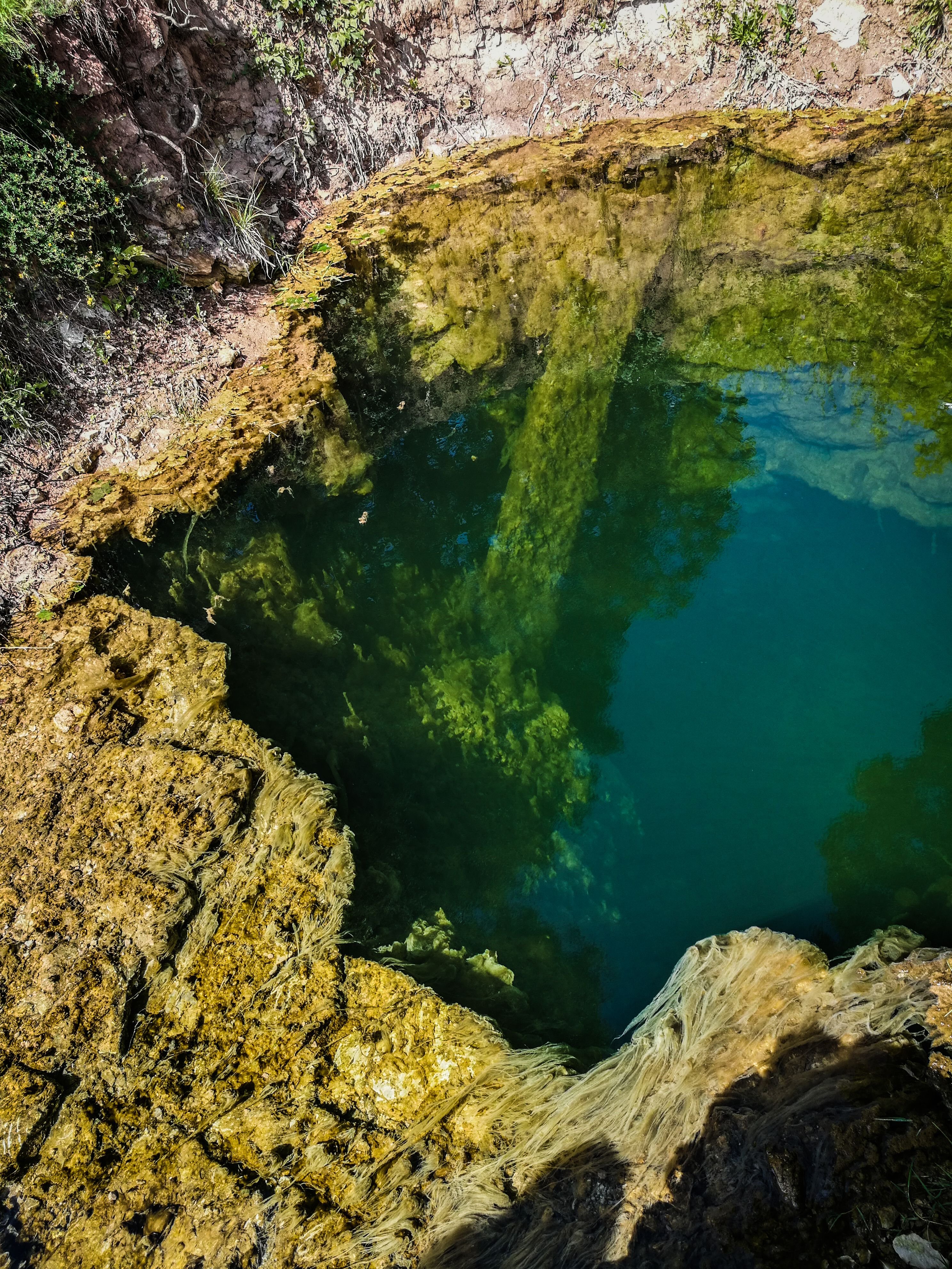 green-stream-zalsvasis-saltinis.jpg