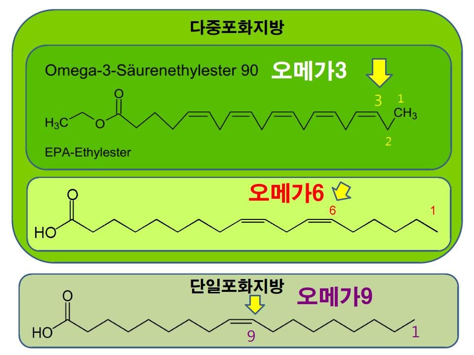 기름의 성분_0004.jpg