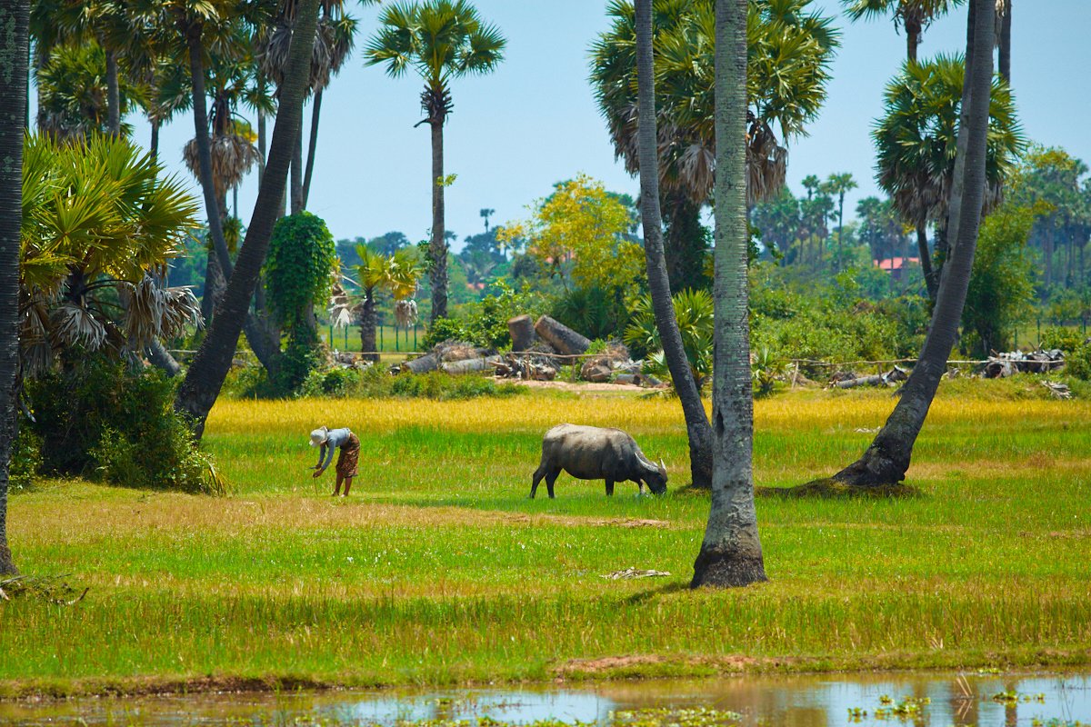 siem reap countriside 2.jpg