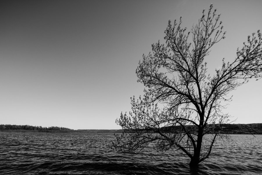 Pepin Spring Flood B&W 1.jpg