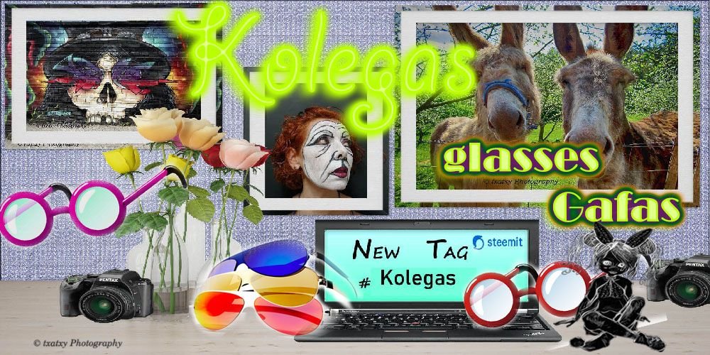 LOGOlokos BUENAS gafas.jpg