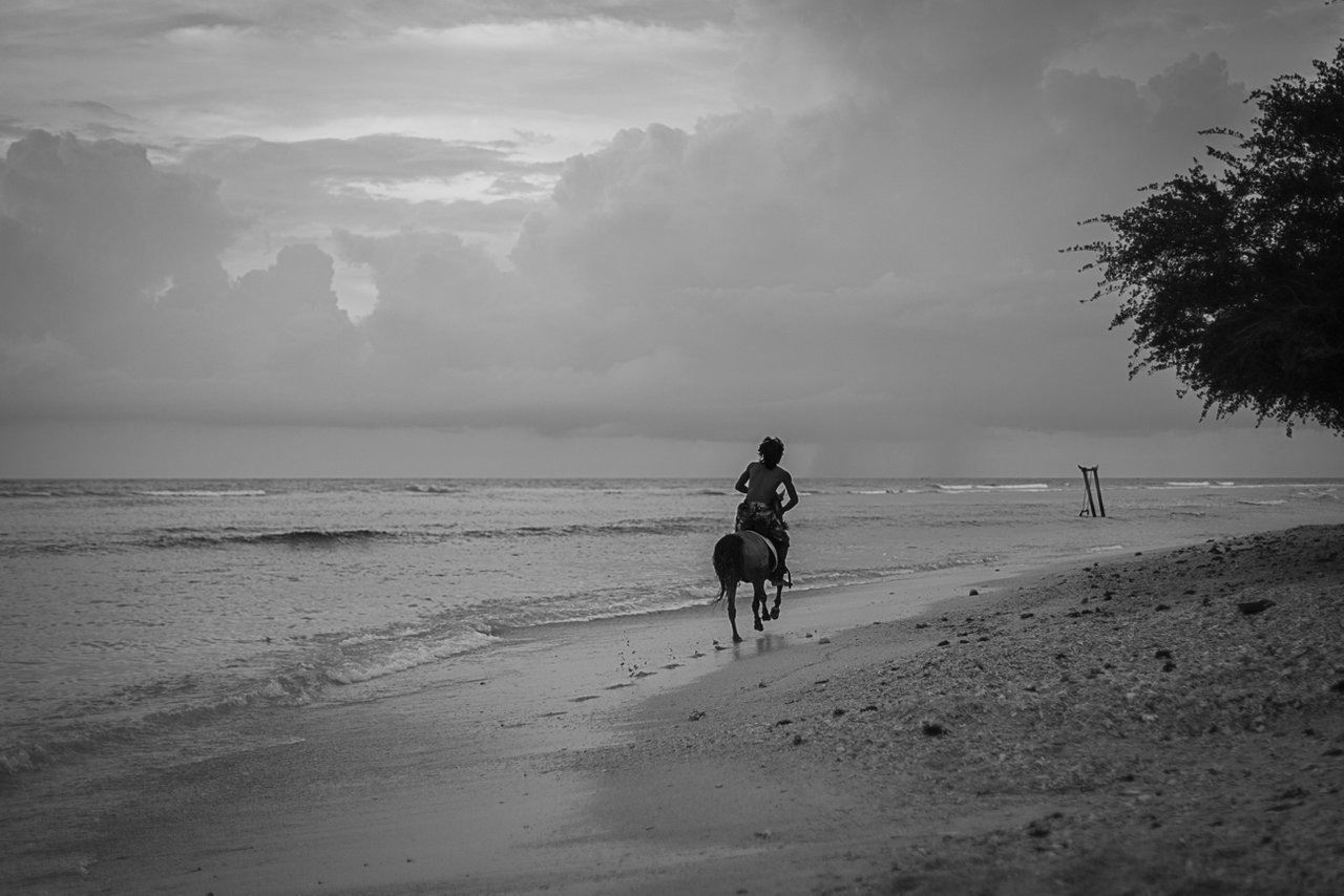 beach horse 4 bw.jpg