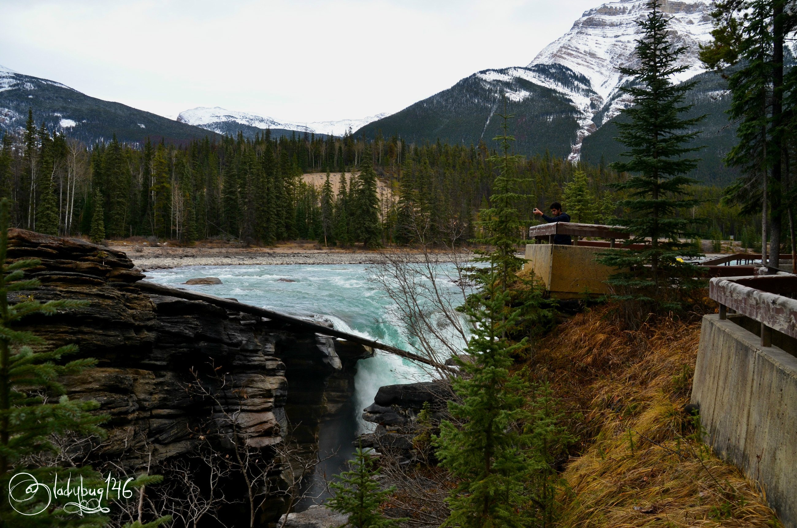 athabasca falls11.jpg