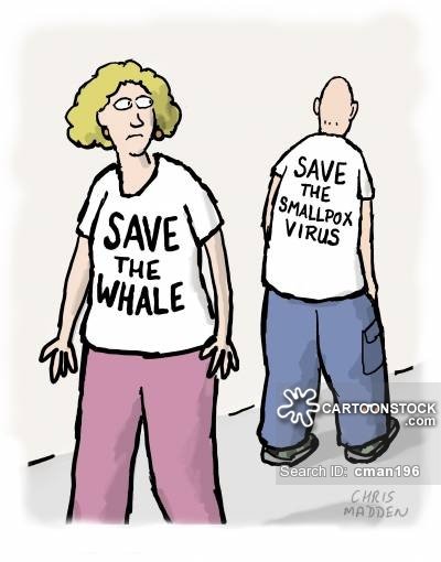 fashion-whale-wildlife-wwf-virus-germs-cman196_low.jpg