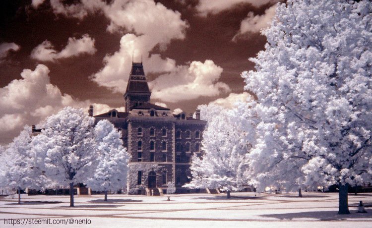 ir-cornell01-1.jpg