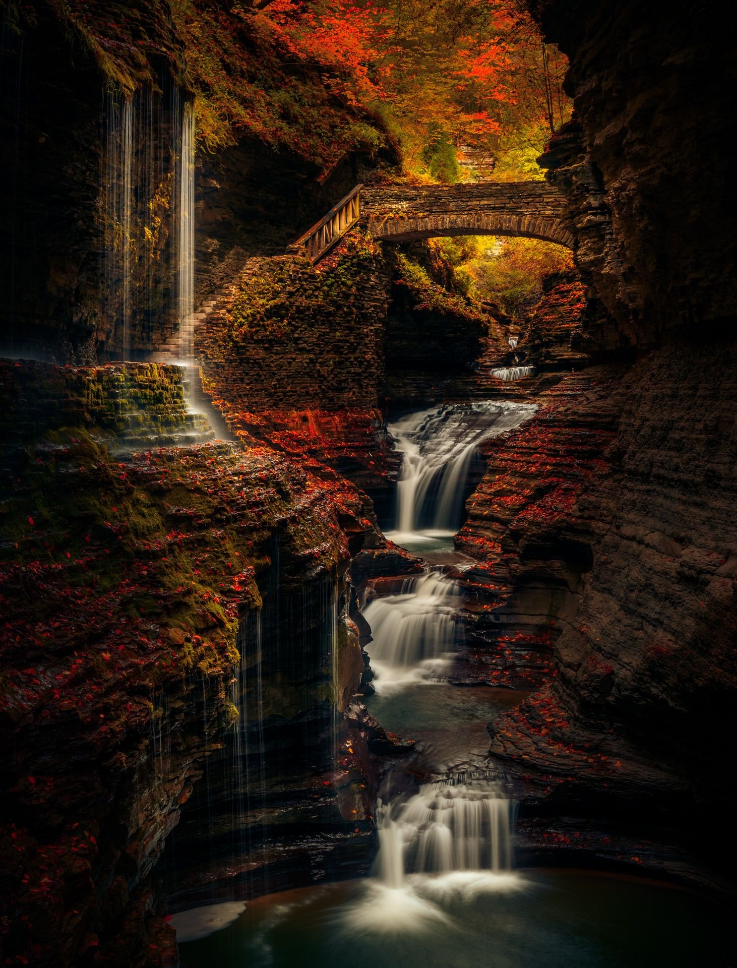 Watkin's Glen