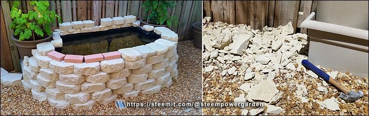 Backyard-Koi-Pond-05-SteemPowerGarden.jpg