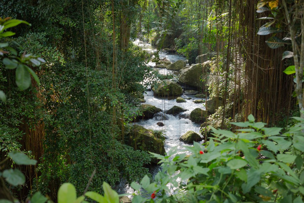 gunung kawui 25.jpg