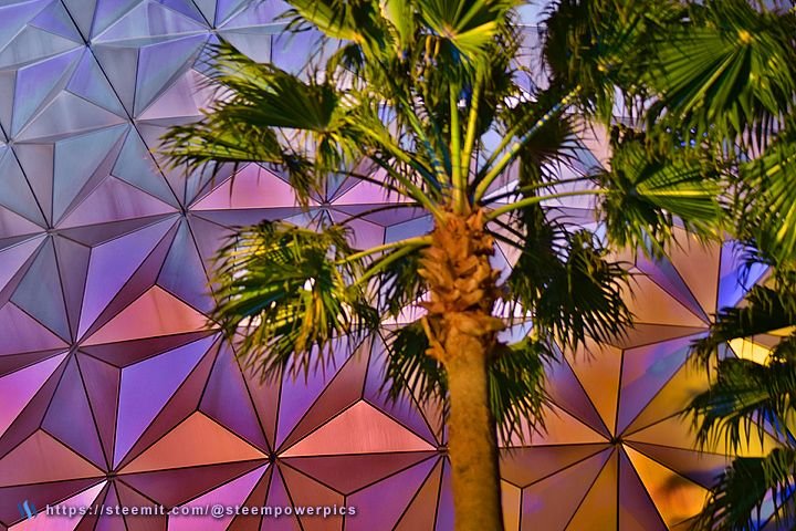 Epcot-5.jpg