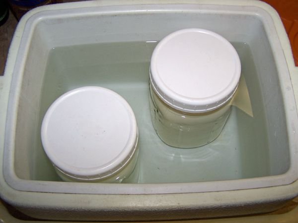 Making yogurt - 2nd qt in cooler crop Dec. 2017.jpg