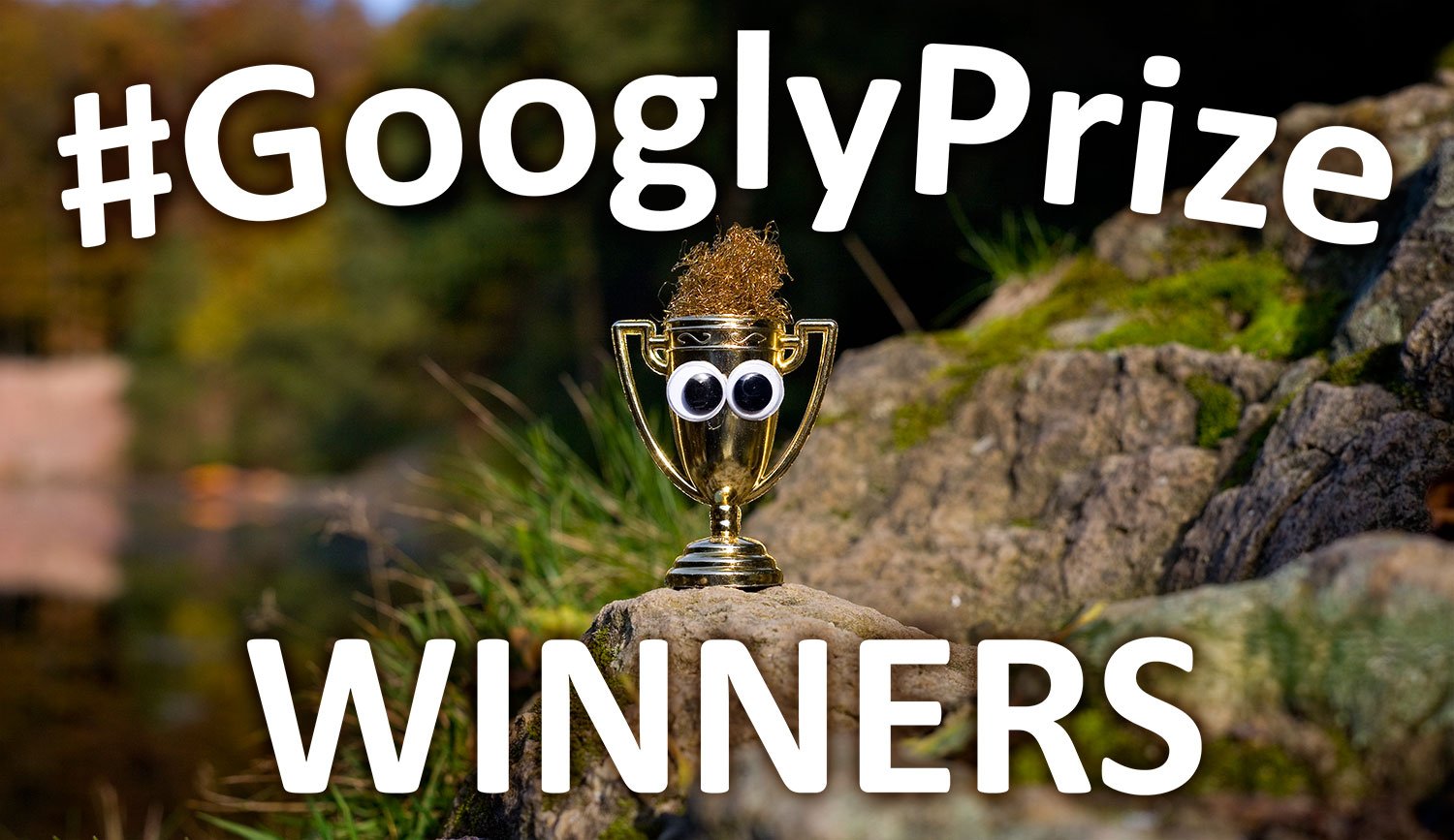 GooglzPriye Winners 15