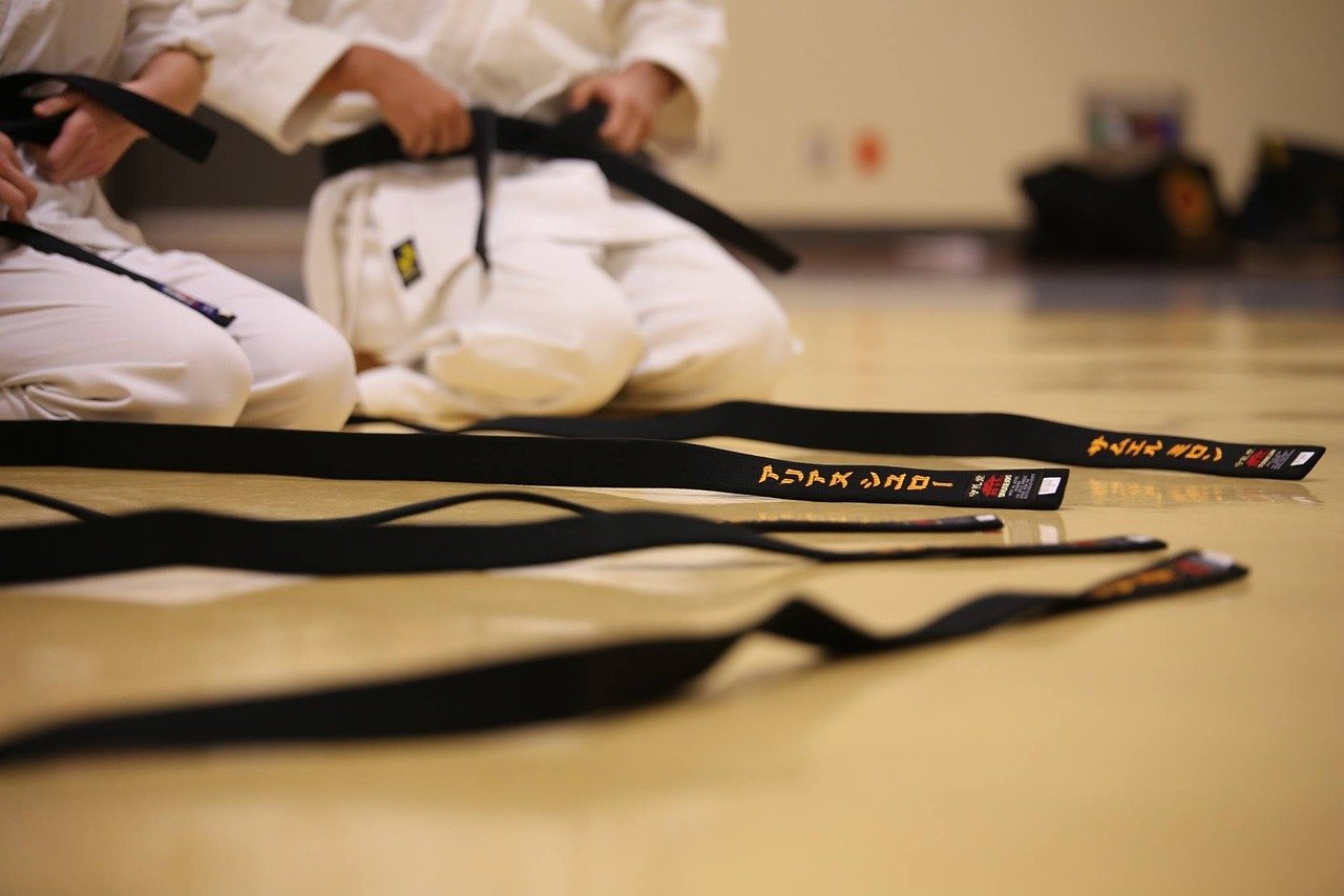 black-belt-894190_1280.jpg