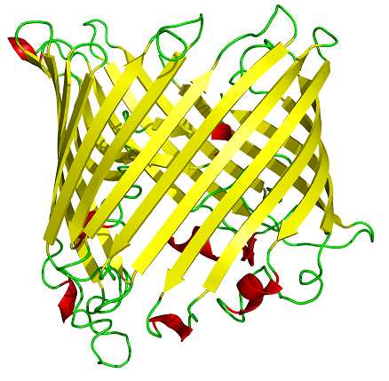 Sucrose_porin_1a0s.png