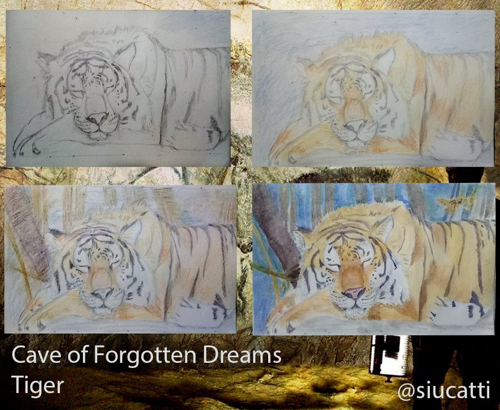 The cave of forgotten dreams-tiger-steem-preview-min.jpg