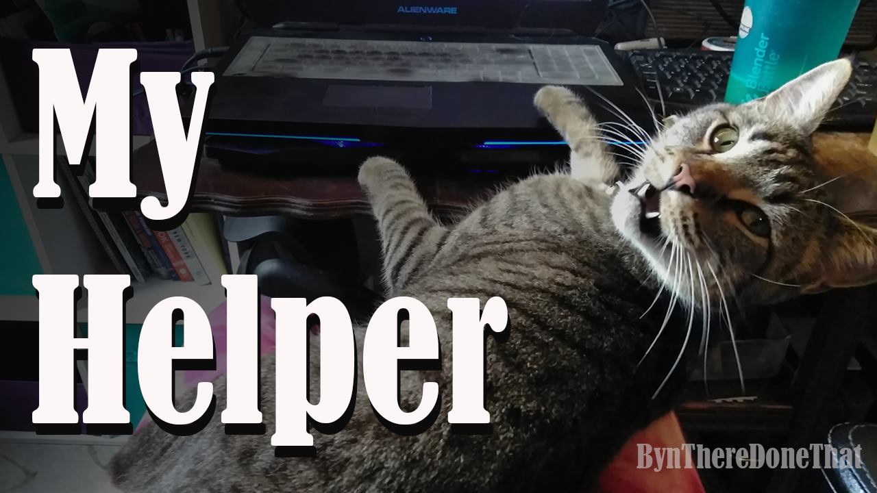 My-Helper-KittyCat.png