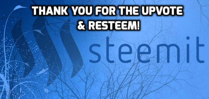 steemit  Shot 2017-05-20 at 8.49.49 PM.png