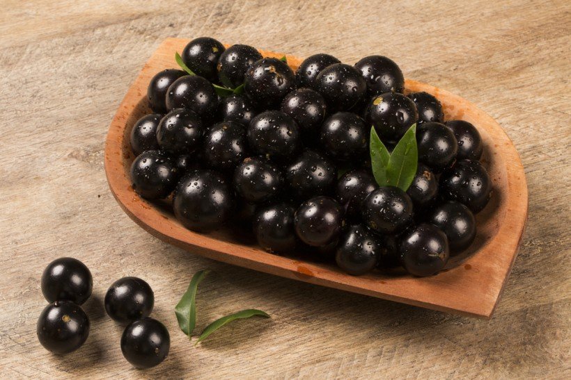 Jabuticaba 5.jpg