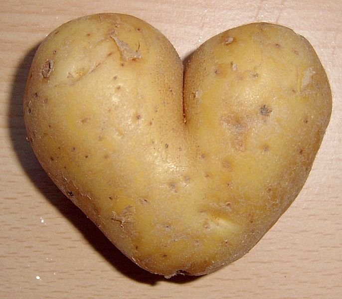 686px-Potato_heart_mutation.jpg