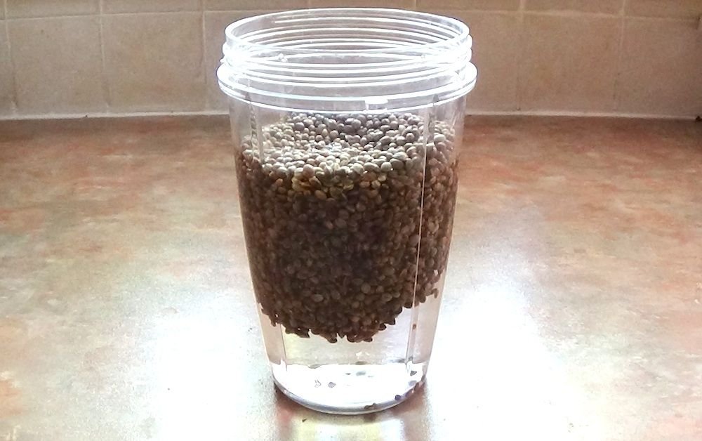 Hemp in jug with water added.jpg